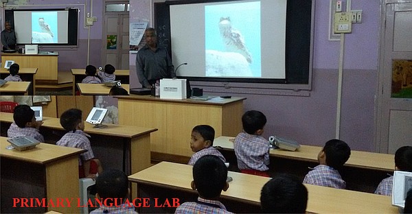 Language Labs in Primary and Secondary Sections